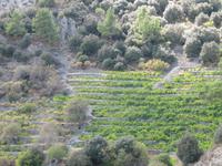Wanderung von der Natur zur Kultur