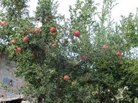 Wanderung von der Natur zur Kultur