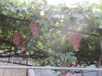 Wanderung von der Natur zur Kultur