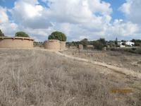 Im prähistorischem Dorf