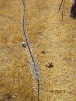 Wanderung oberhalb der Avagas-Schlucht