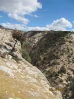 Wanderung oberhalb der Avagas-Schlucht
