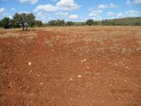 Wanderung oberhalb der Avagas-Schlucht