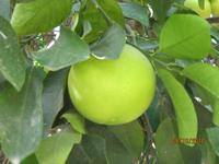 Wanderung oberhalb der Avagas-Schlucht