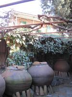 Troodosgebirge - bei Herrn Pilavakis in Phini