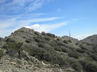 Troodosgebirge - Auf dem Weg zum Adolfoi