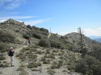 Troodosgebirge - Auf dem Weg zum Adolfoi