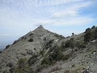 Troodosgebirge - der Adelfoi in Sicht