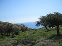 Pissouri-Wanderung - Olivenhain - unser Rastplatz