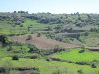 Auf dem Weg zur Avagas Schlucht