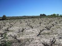 Auf dem Weg zur Avagas Schlucht