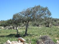 Auf dem Weg zur Avagas Schlucht
