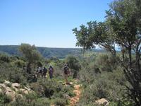 Auf dem Weg zur Avagas Schlucht