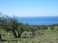 Auf dem Weg zur Avagas Schlucht