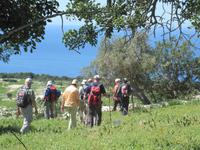Auf dem Weg zur Avagas Schlucht