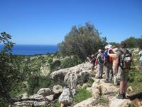 Blick in die Avagas Schlucht