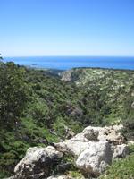 Blick in die Avagas Schlucht