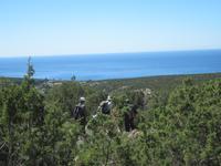 Durch den Wacholderwald