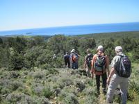 Auf dem Weg zur Avagas Schlucht