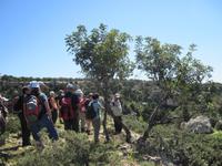 Auf dem Weg zur Avagas Schlucht