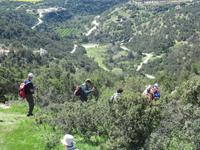 Auf dem Weg zur Avagas Schlucht