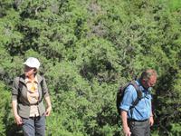 Auf dem Weg zur Avagas Schlucht