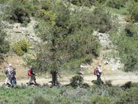 Wandern auf der Akamas Halbinsel