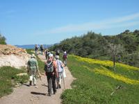 Wandern auf der Akamas Halbinsel