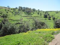 Wandern auf der Akamas Halbinsel