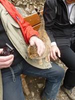 Mietze am Kaledonia Wasserfall