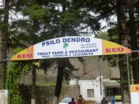 Forellenzucht bei Platras