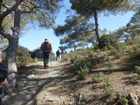 Auf dem Madari Naturlehrpfad