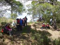 Rast im Troodosgebirge