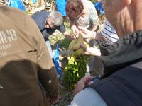 Auf der Bananenplantage von Savvas Cousin