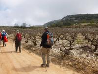 In den Weinplantagen um Chrysorrogiatissa