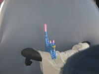 Blinder Passagier :-)