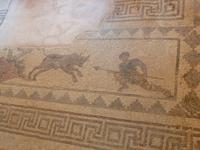 Bodenmosaike bei Paphos