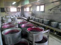 Nikis Süßigkeiten, Agros