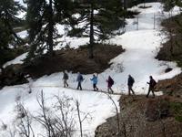 Persefoni Trail am Olymp