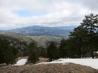 Wandern im Troodos-Gebirge