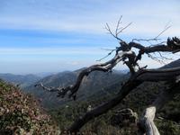 Wanderung im Troodos-Gebirge