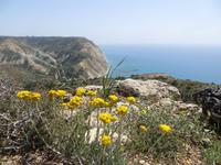 Küstenwanderung nach Pissouri