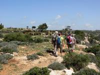 unterwegs auf Ziegenpfaden