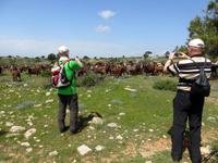 unterwegs auf Ziegenpfaden