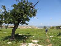 unterwegs auf Ziegenpfaden