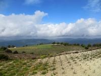 Wanderung zwischen Weinreben