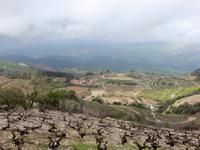 Wanderung zwischen Weinreben
