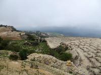 Wanderung zwischen Weinreben