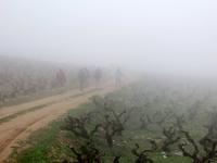 Wanderung zwischen Weinreben