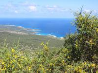 Blick zu Fontana Amorosa